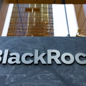BlackRock fund steers to Turkish stocks with 10% exposure: Report