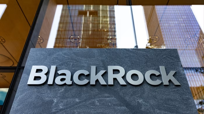 BlackRock fund steers to Turkish stocks with 10% exposure: Report